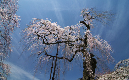 495769 (a): :1680x1050